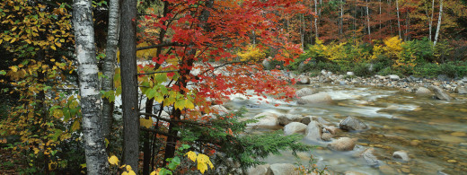 600931 (a): :3200x1200